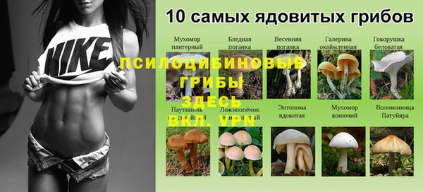кристаллы Алексин
