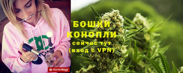 дурь Алзамай