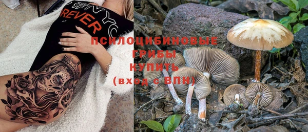 дурь Алзамай
