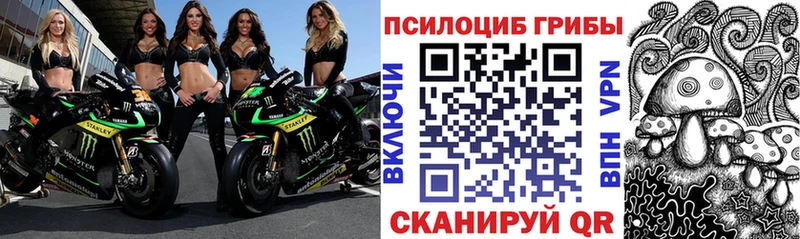 Псилоцибиновые грибы прущие грибы  Аша 