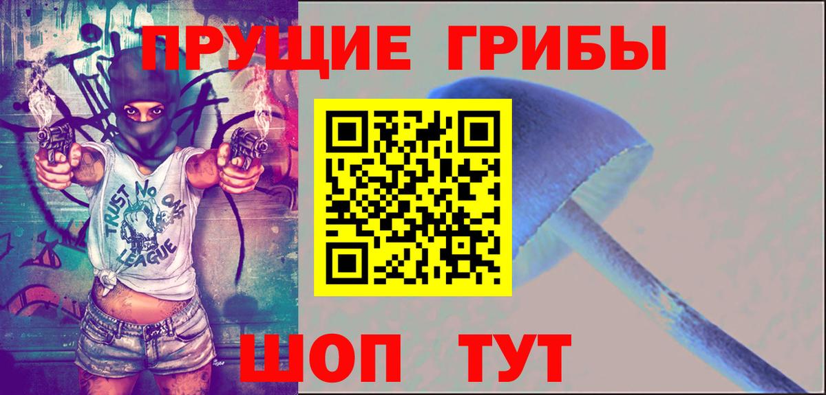 Аша  Псилоцибиновые грибы Psilocybe  Вход с VPN  Галлюциногенные грибы мухоморы 